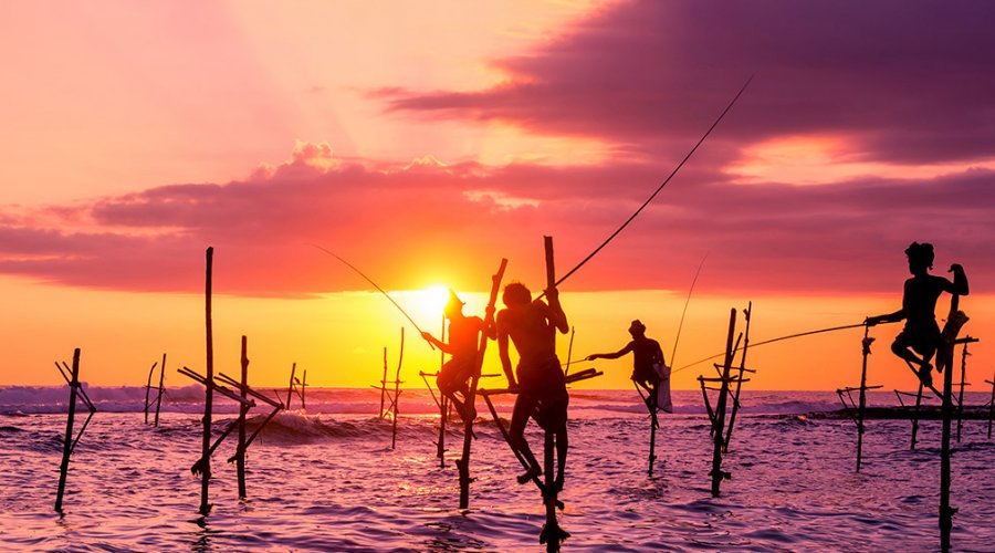 Stilt fishing - Gallery Image 4